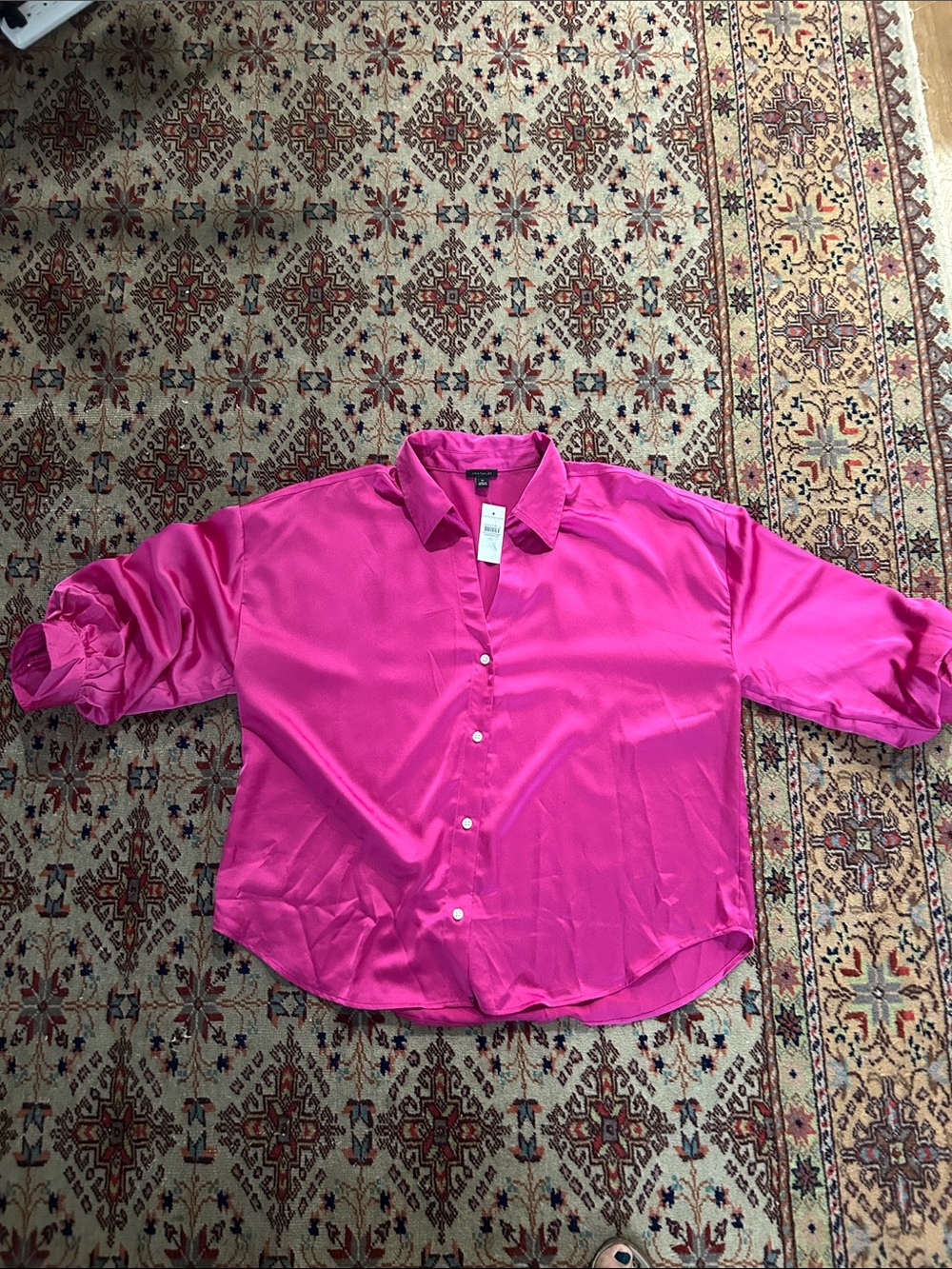 Ann Taylor Fuchsia Button-Up Blouse XL NWT